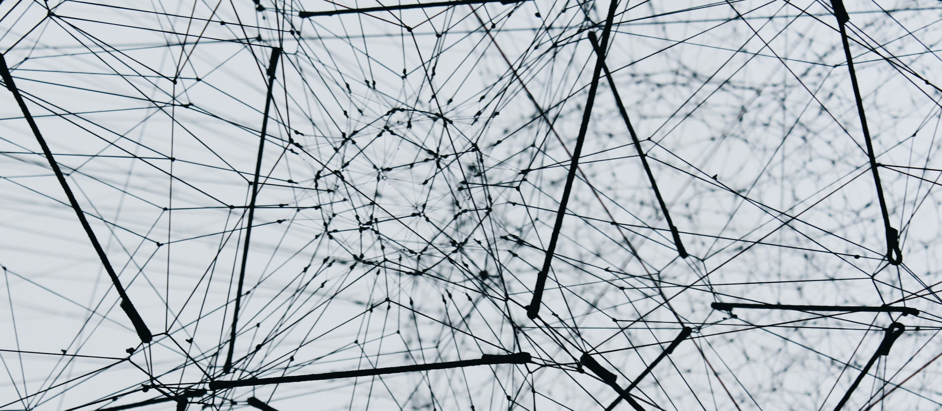 TrustMesh Architecture